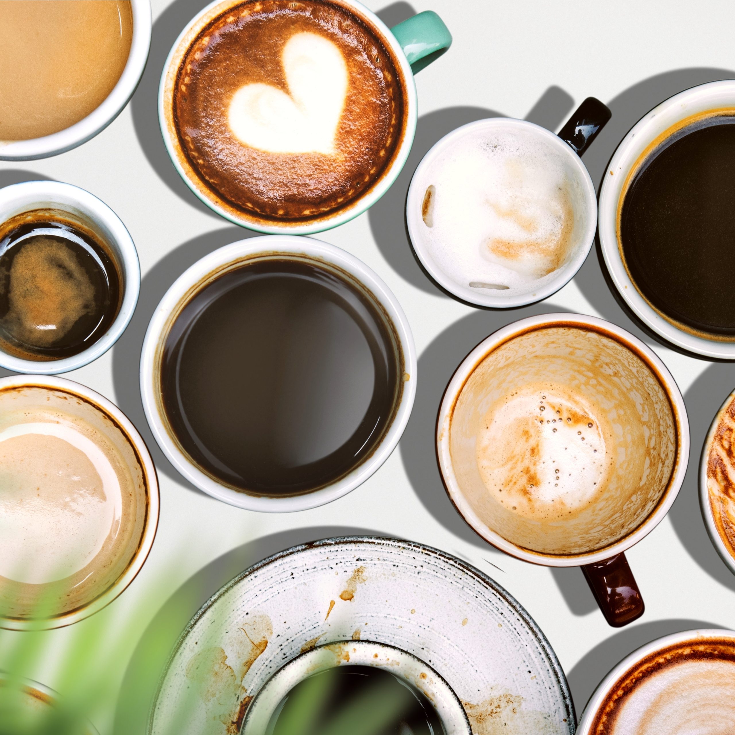 Best Coffee Spots In La Paz City
